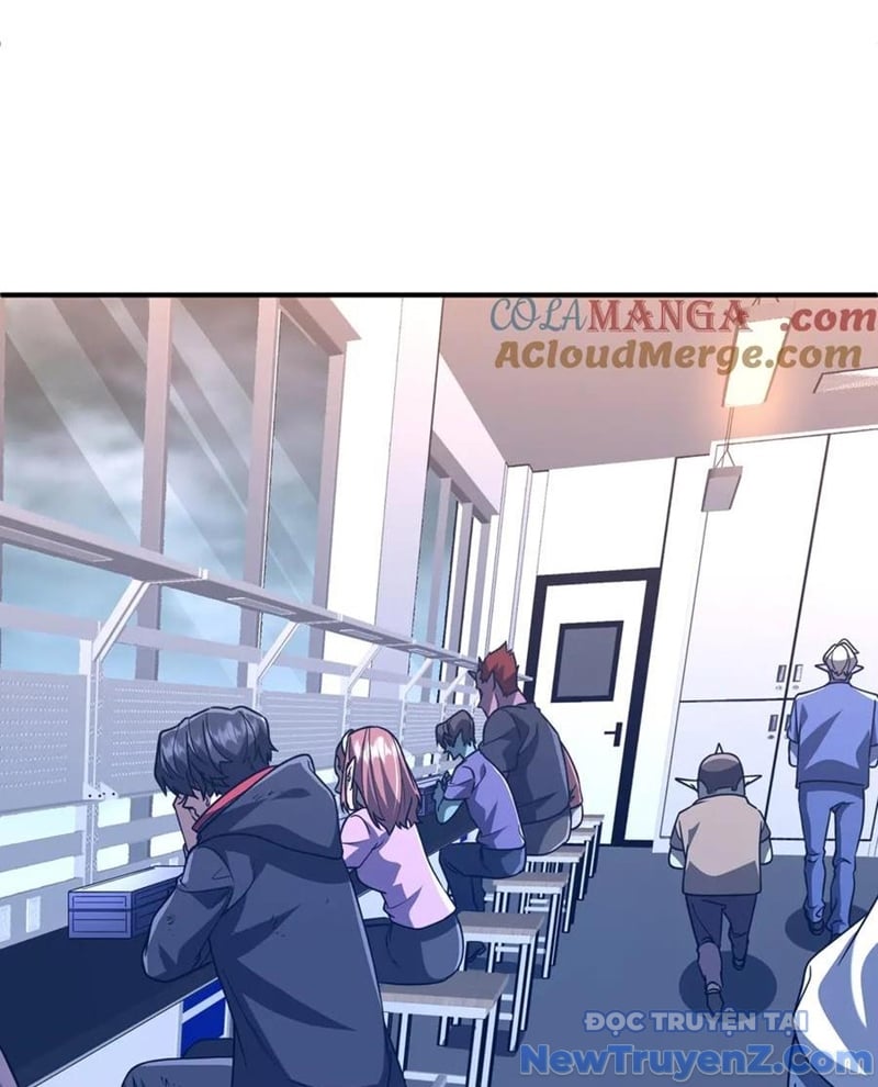 Chapter 243