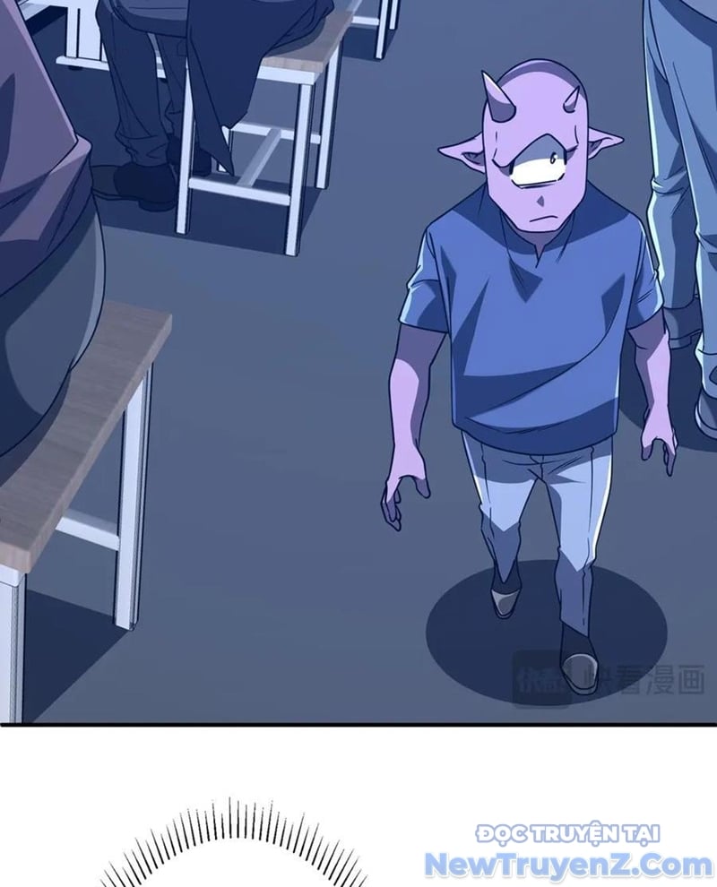 Chapter 243