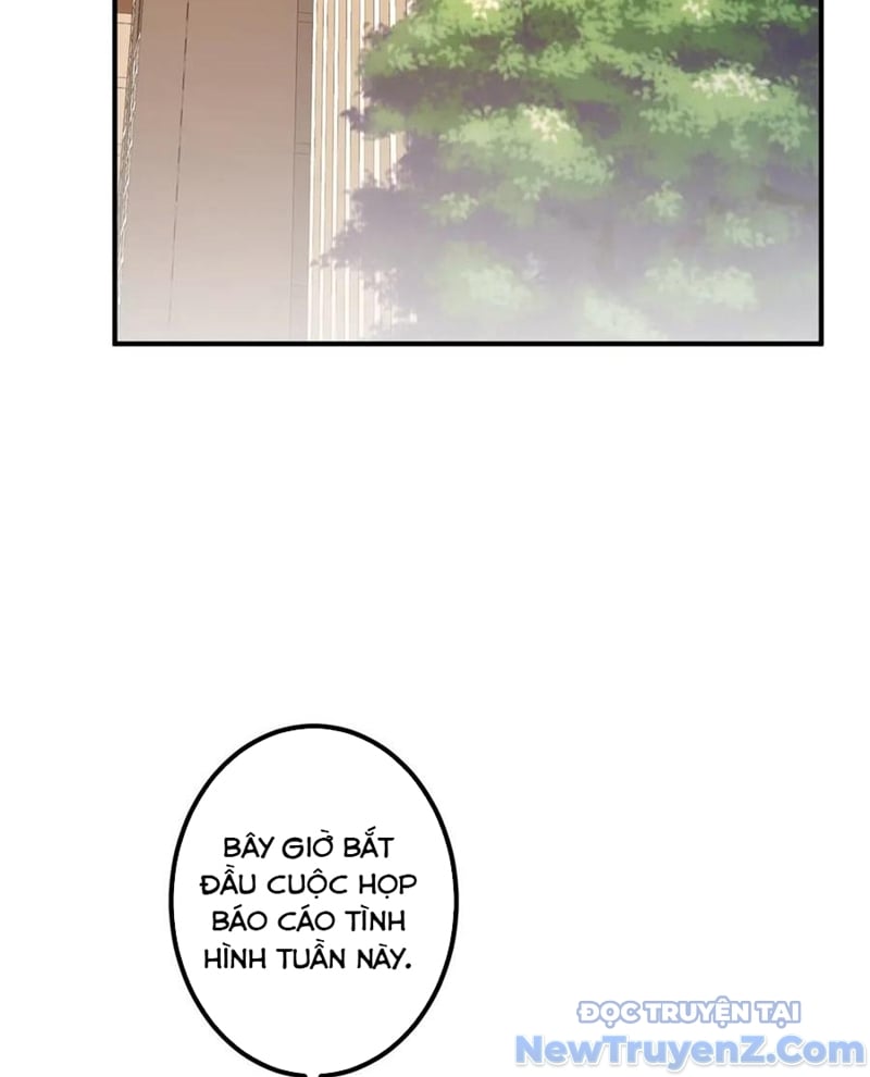 Chapter 243