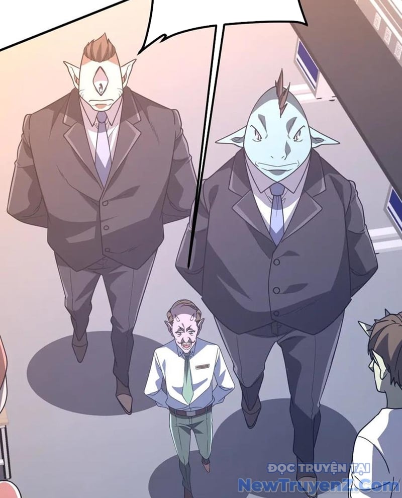 Chapter 243