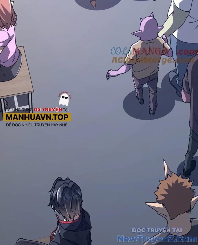 Chapter 243