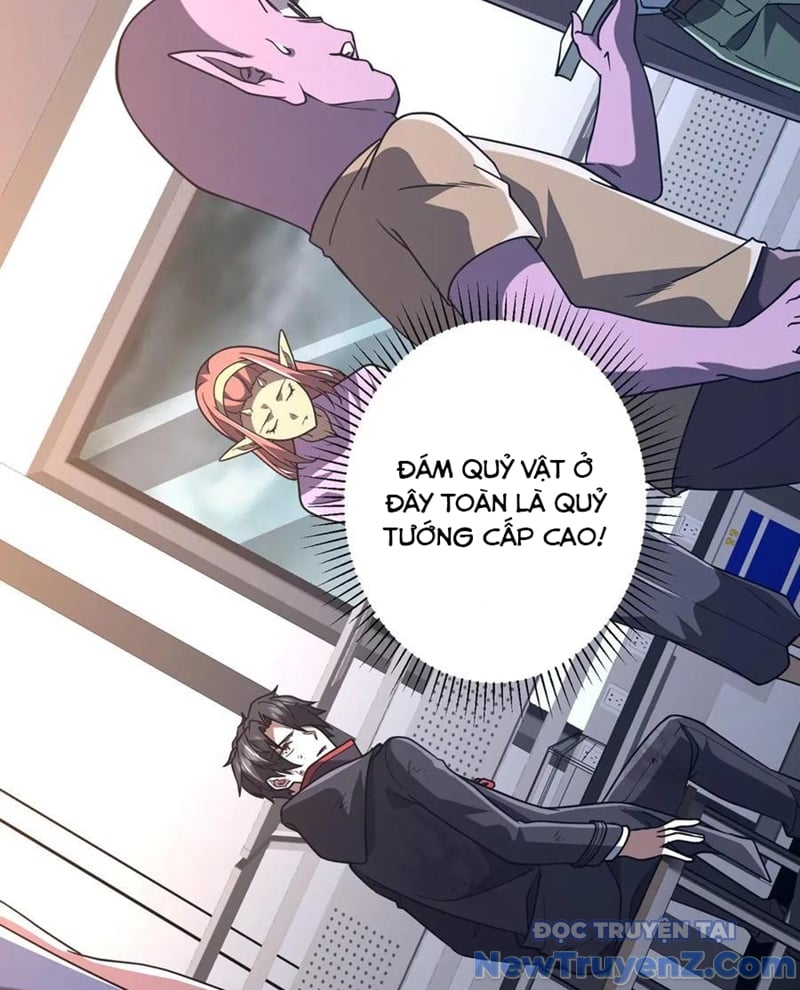 Chapter 243