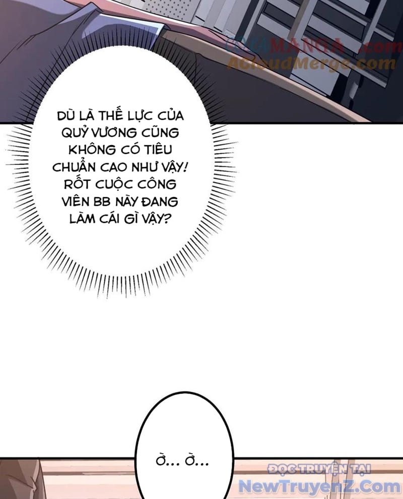 Chapter 243