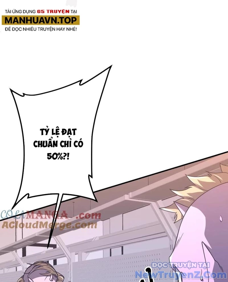 Chapter 243