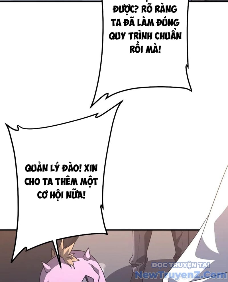 Chapter 243