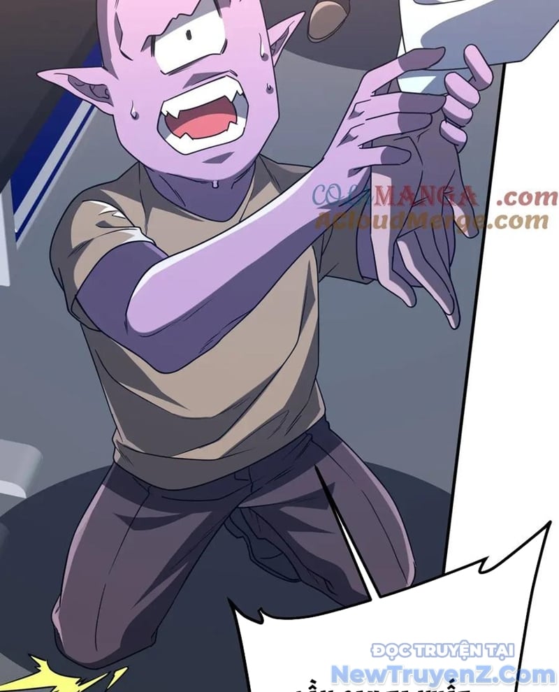 Chapter 243