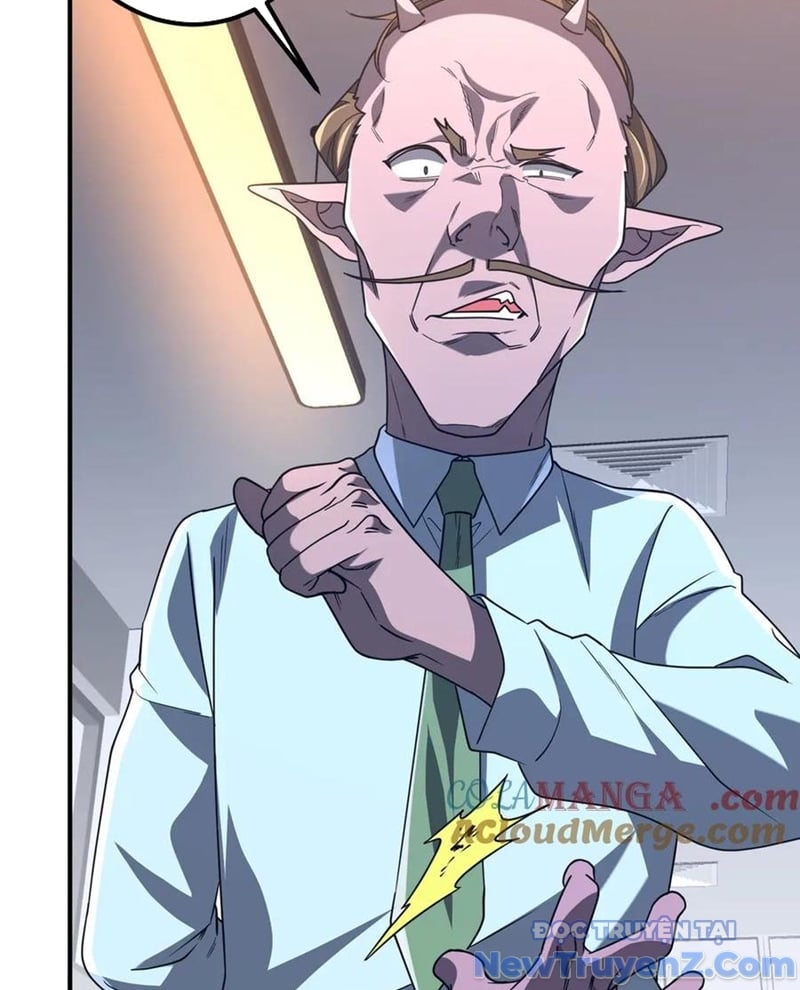 Chapter 243