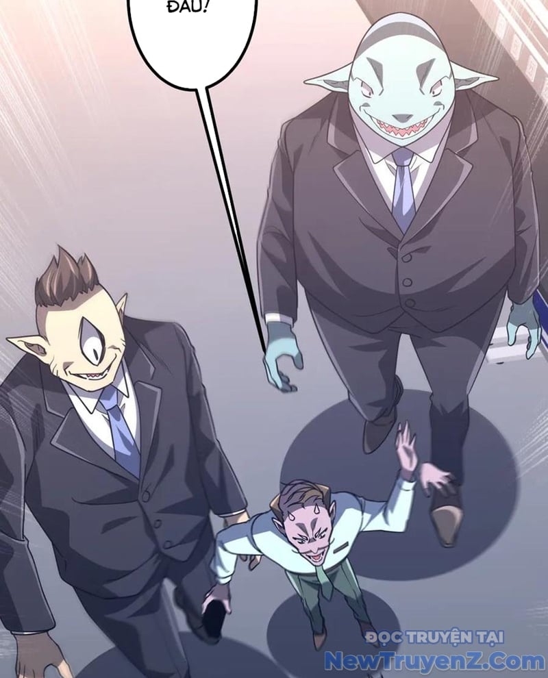 Chapter 243