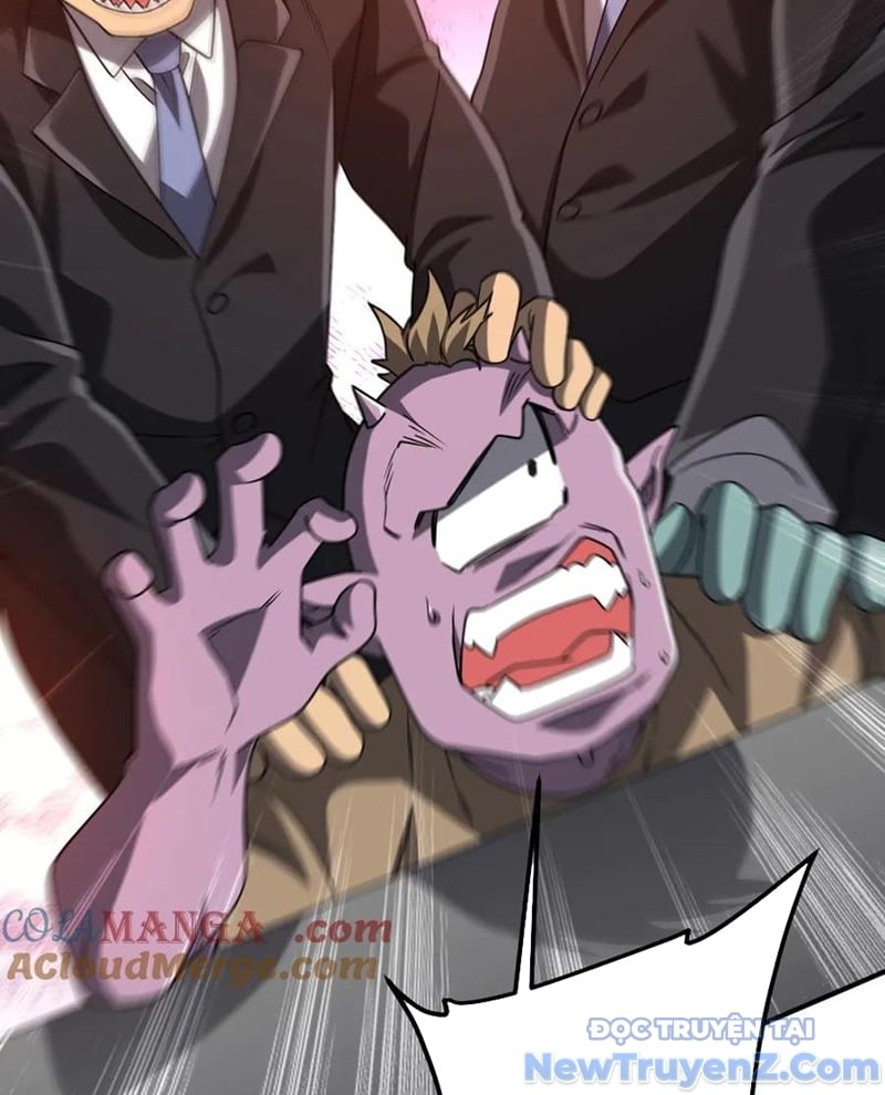 Chapter 243