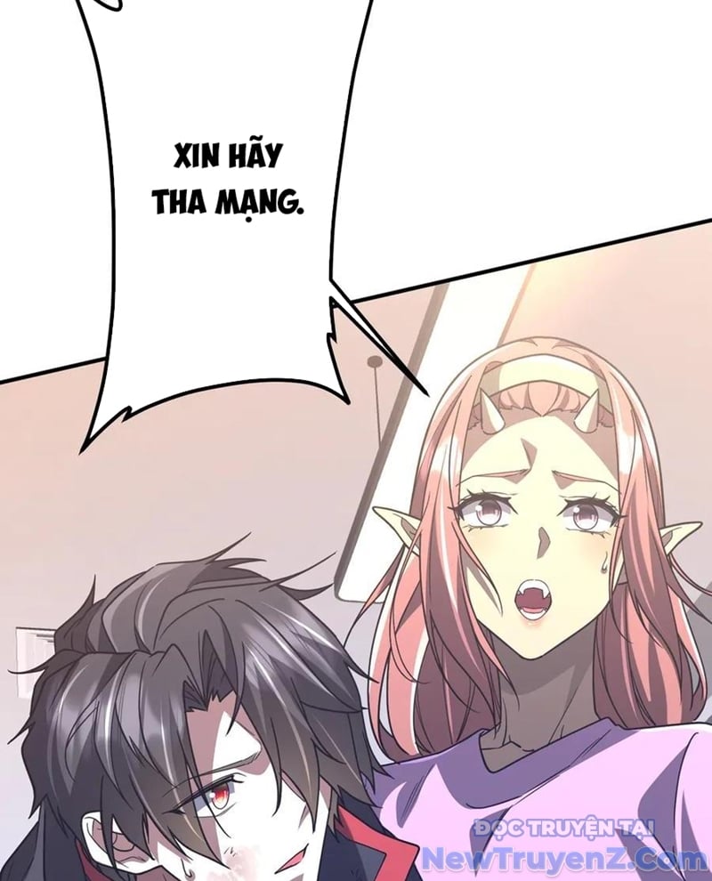 Chapter 243