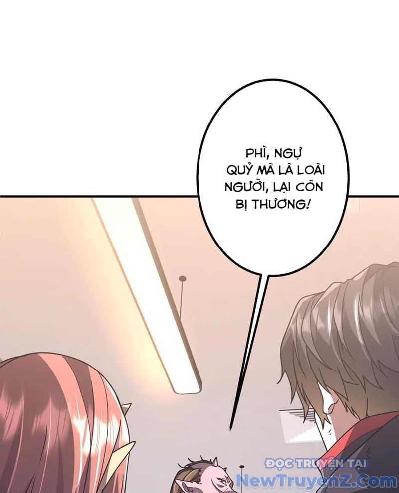 Chapter 243