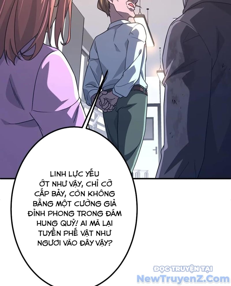 Chapter 243