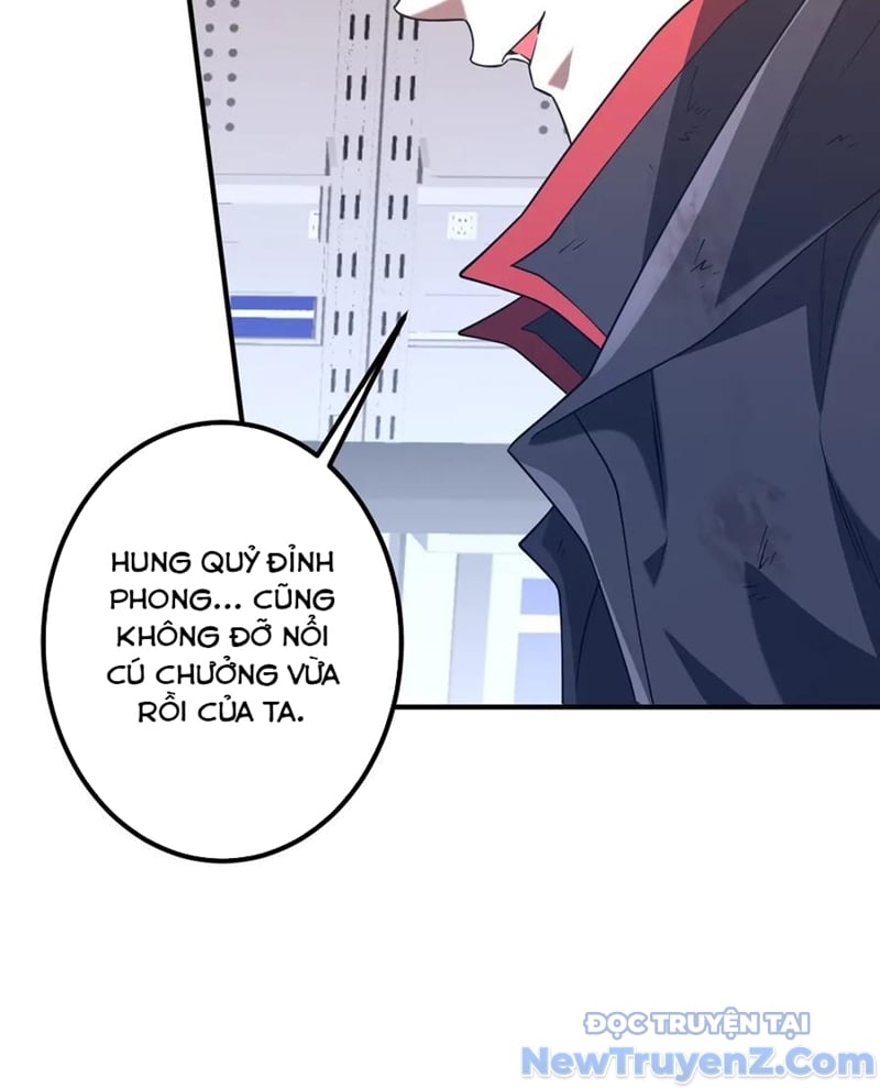 Chapter 243