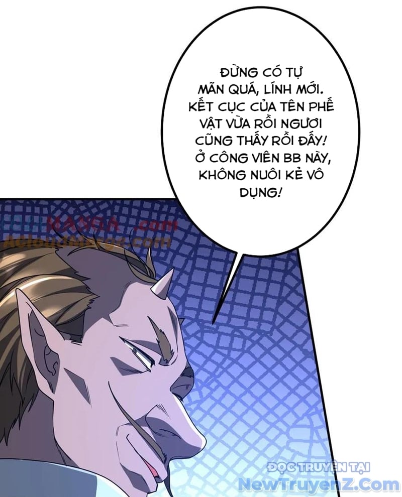 Chapter 243