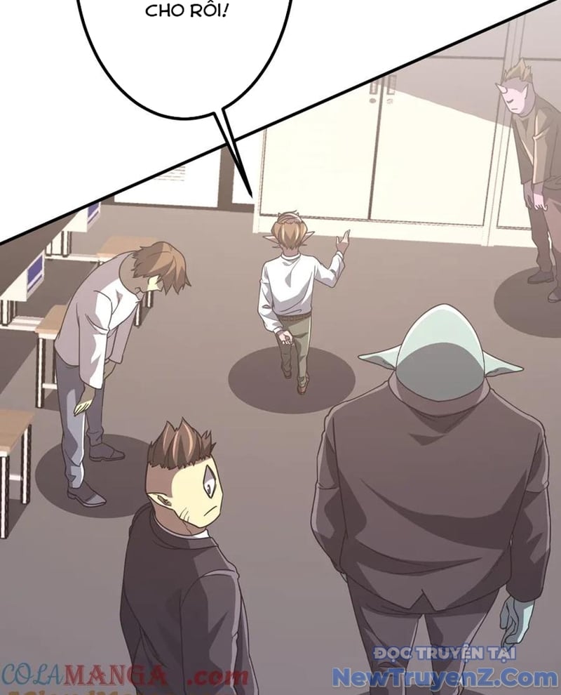 Chapter 243