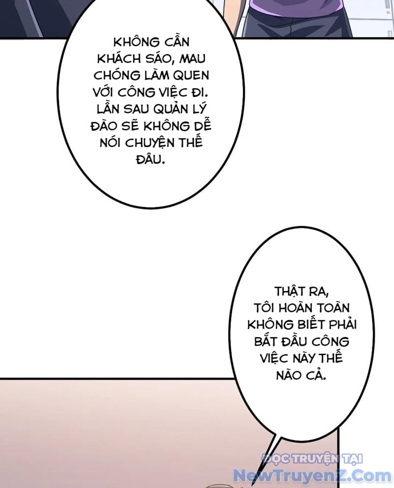 Chapter 243