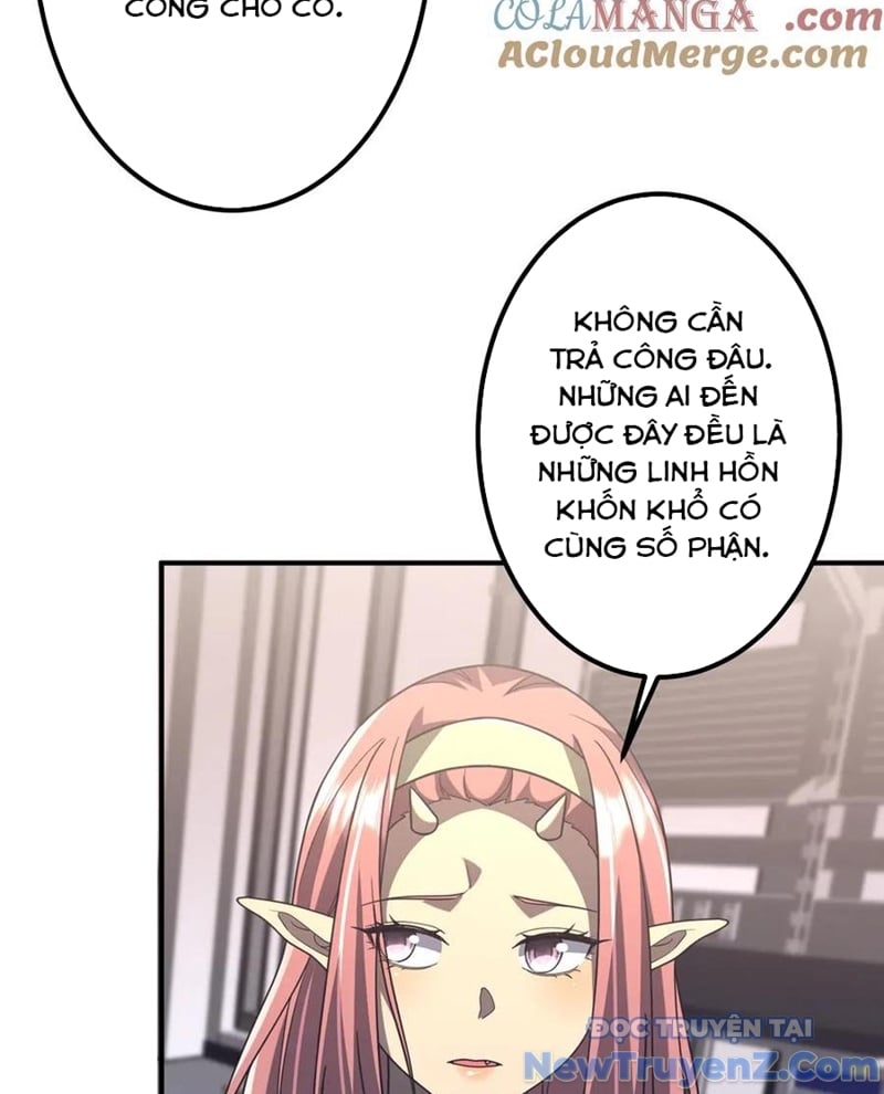 Chapter 243