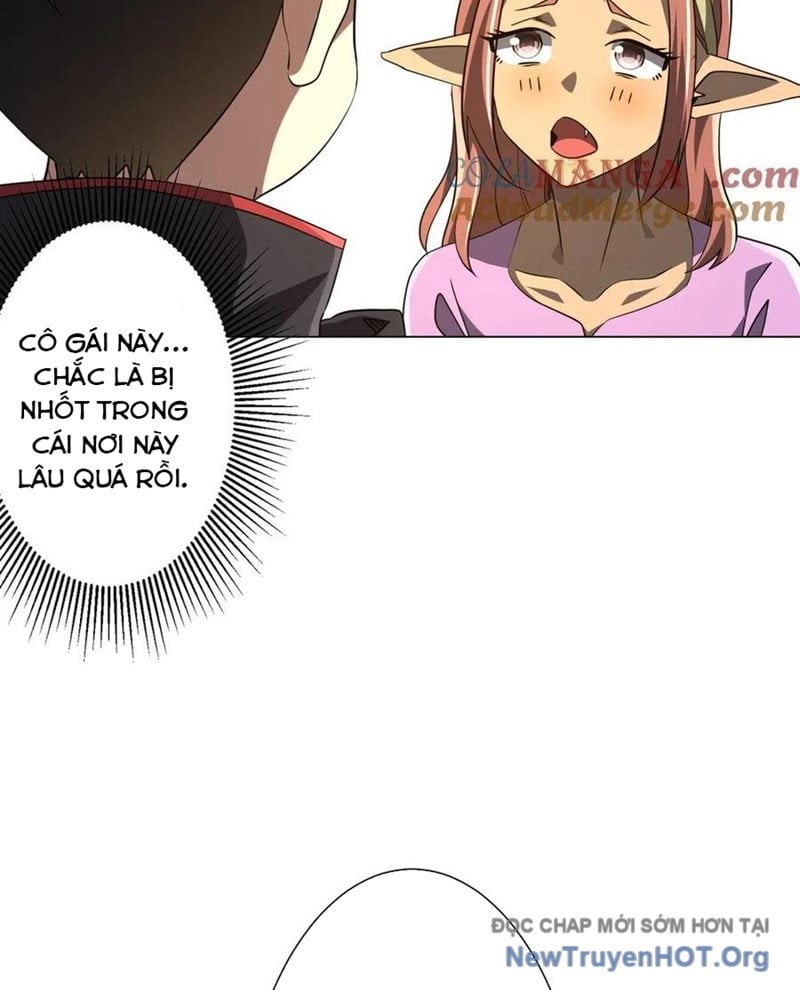 Chapter 245