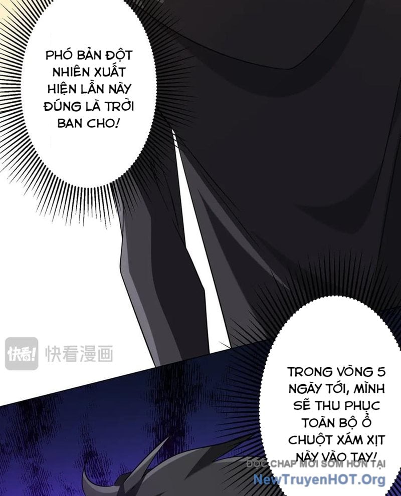 Chapter 245