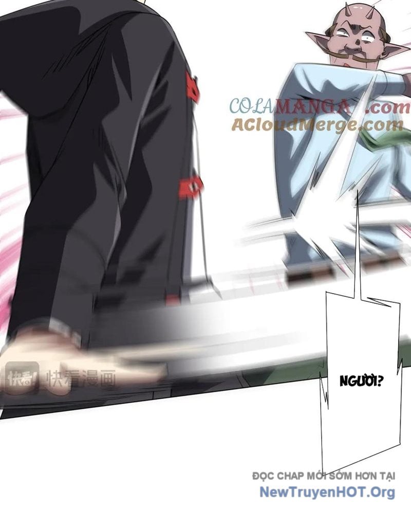 Chapter 246