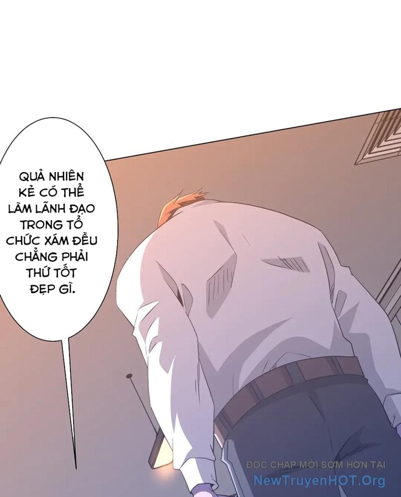 Chapter 246