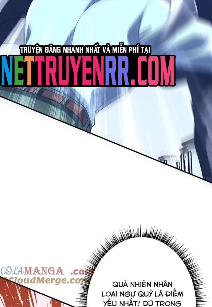 Chapter 247