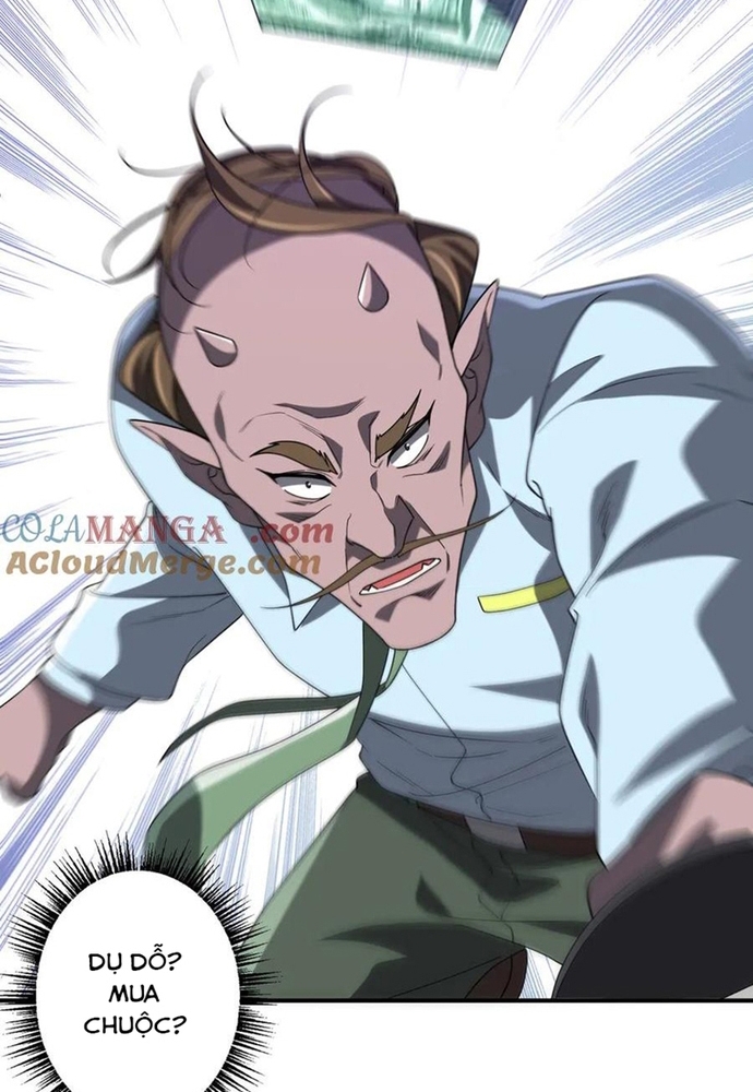 Chapter 247