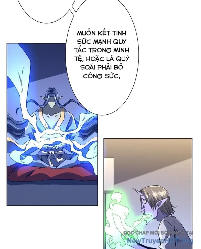 Chapter 252