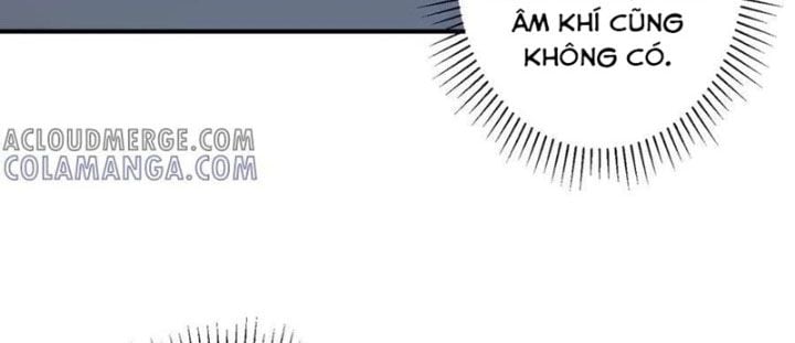 Chapter 253