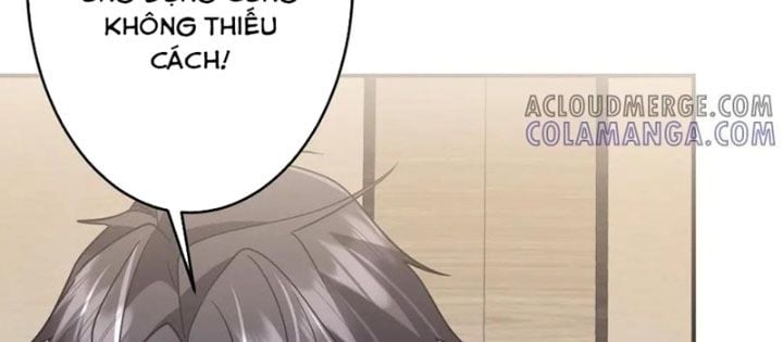 Chapter 253