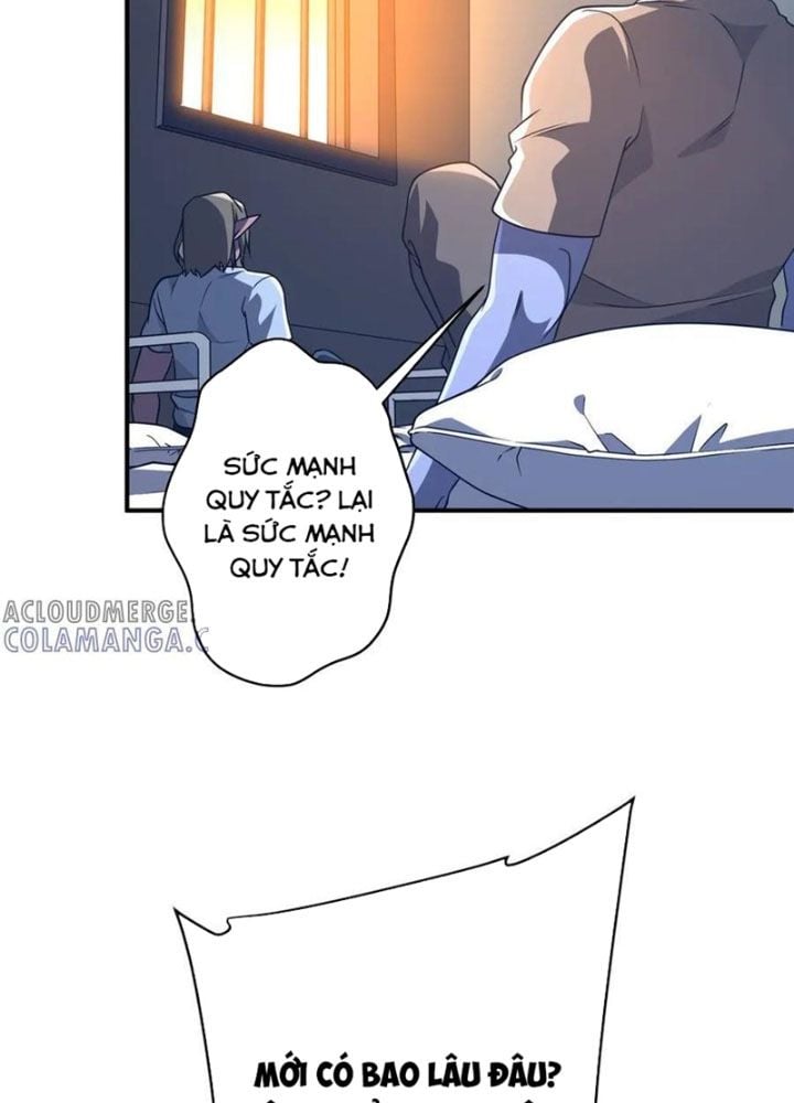 Chapter 253