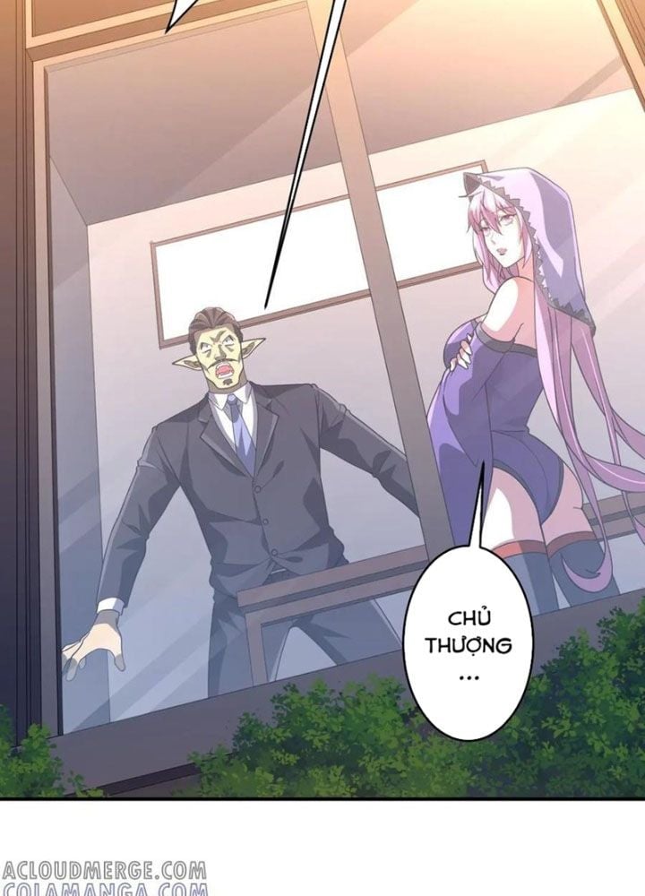 Chapter 253