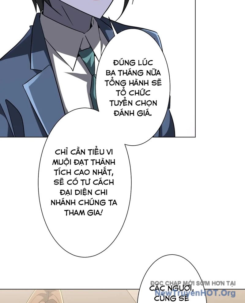 Chapter 255