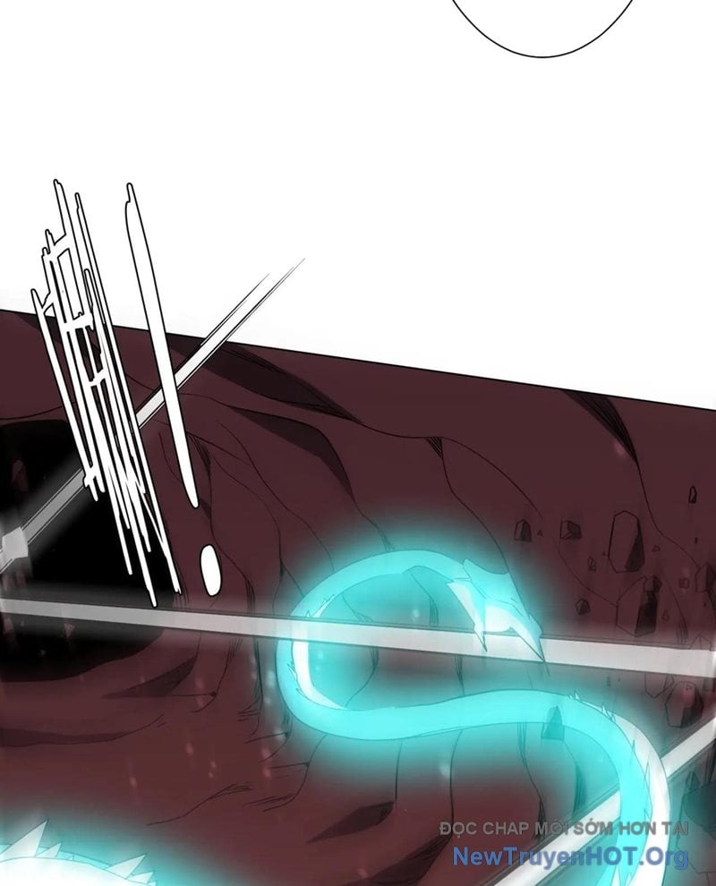 Chapter 255