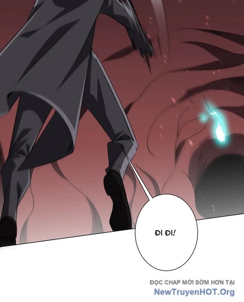 Chapter 255