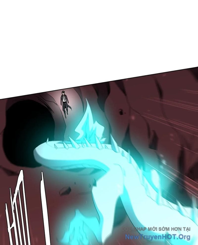 Chapter 255