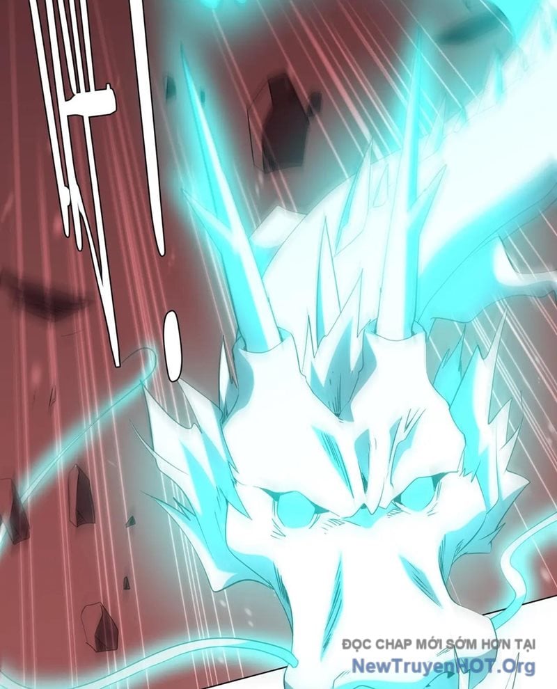 Chapter 255