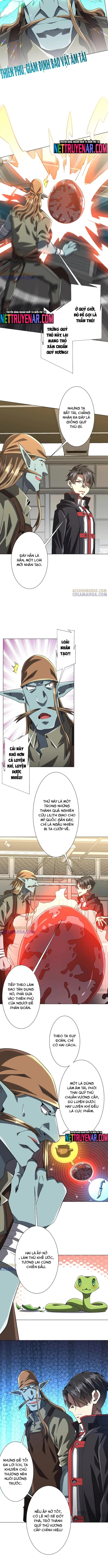 Chapter 263