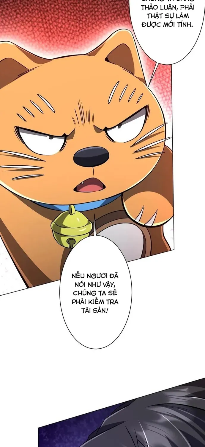 Chapter 294