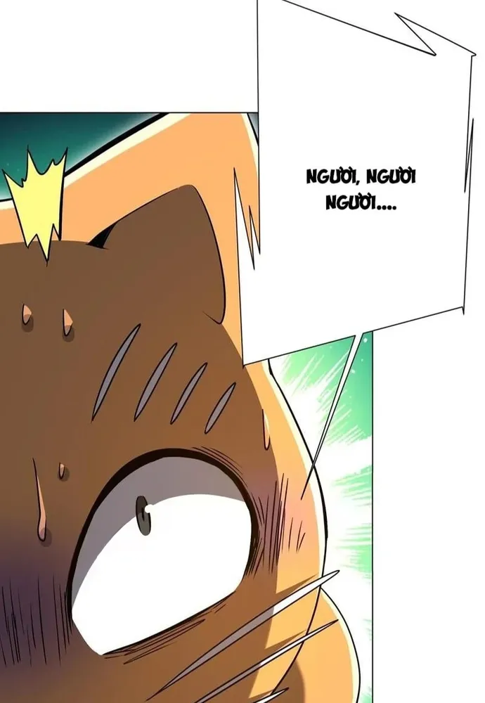 Chapter 294