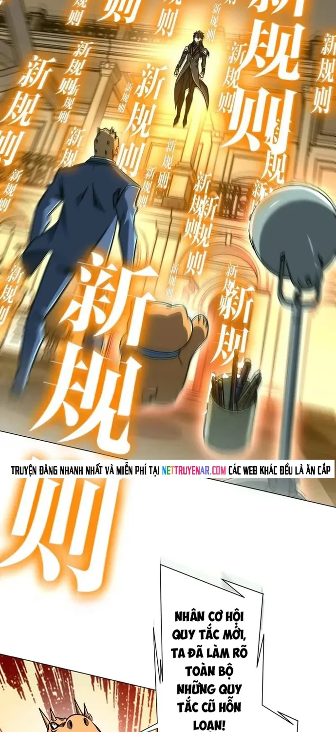 Chapter 294