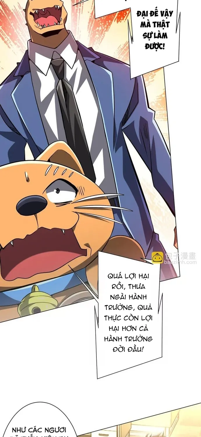 Chapter 294