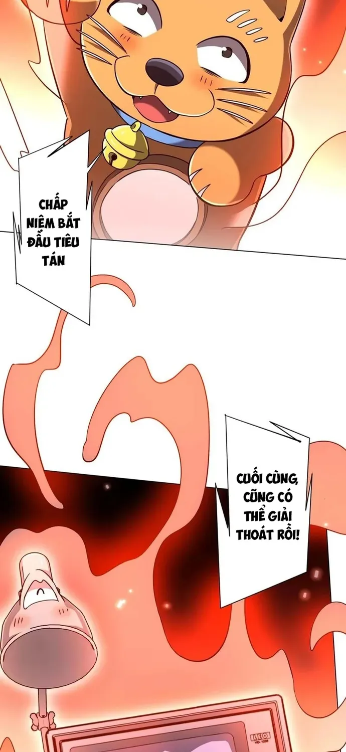 Chapter 294