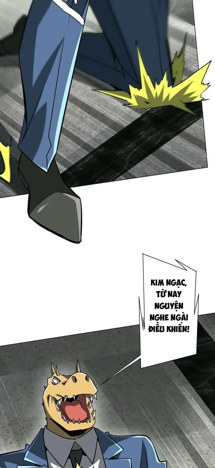 Chapter 294