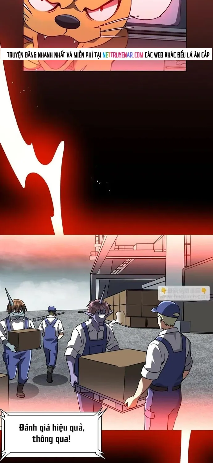 Chapter 294