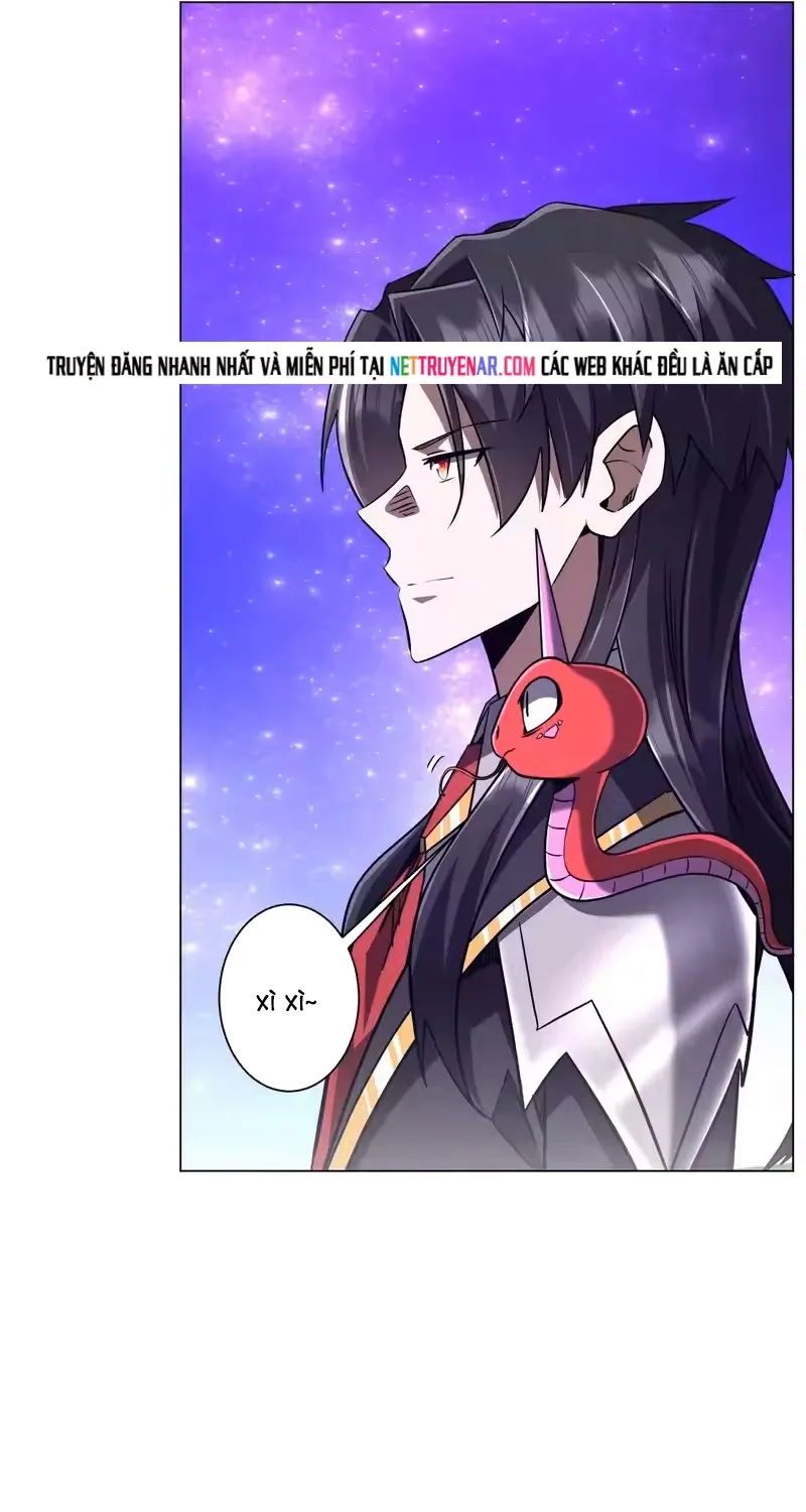 Chapter 295