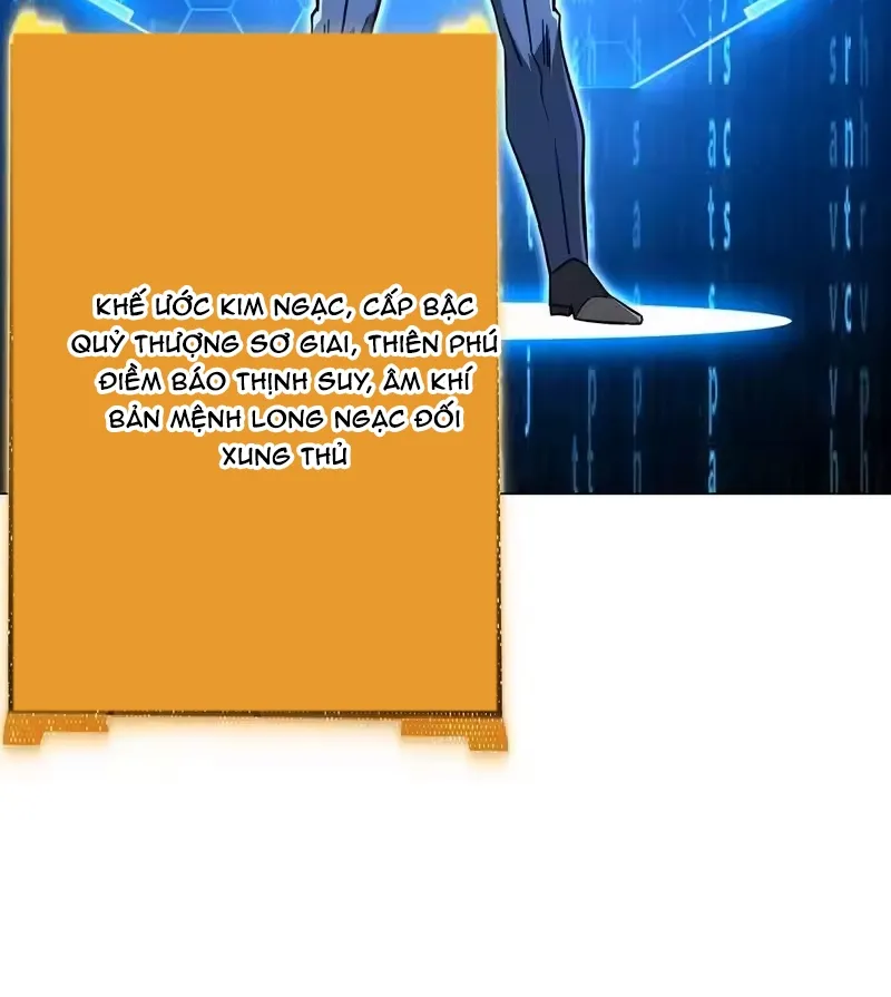 Chapter 295
