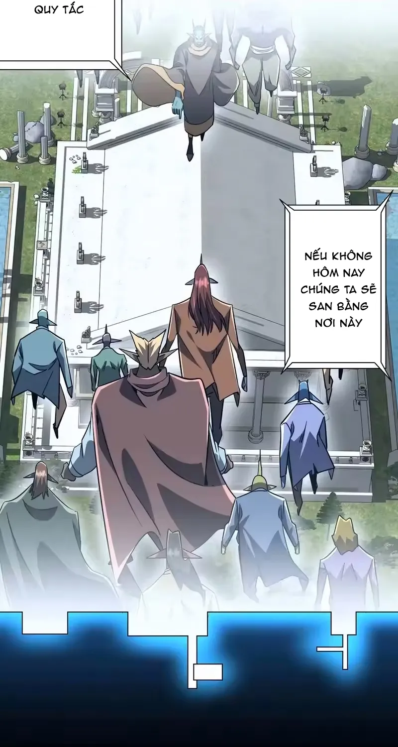 Chapter 295