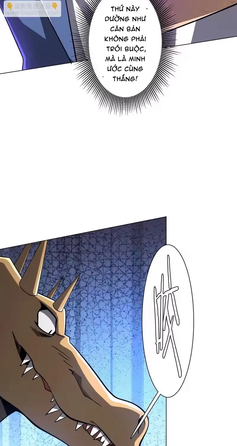 Chapter 295