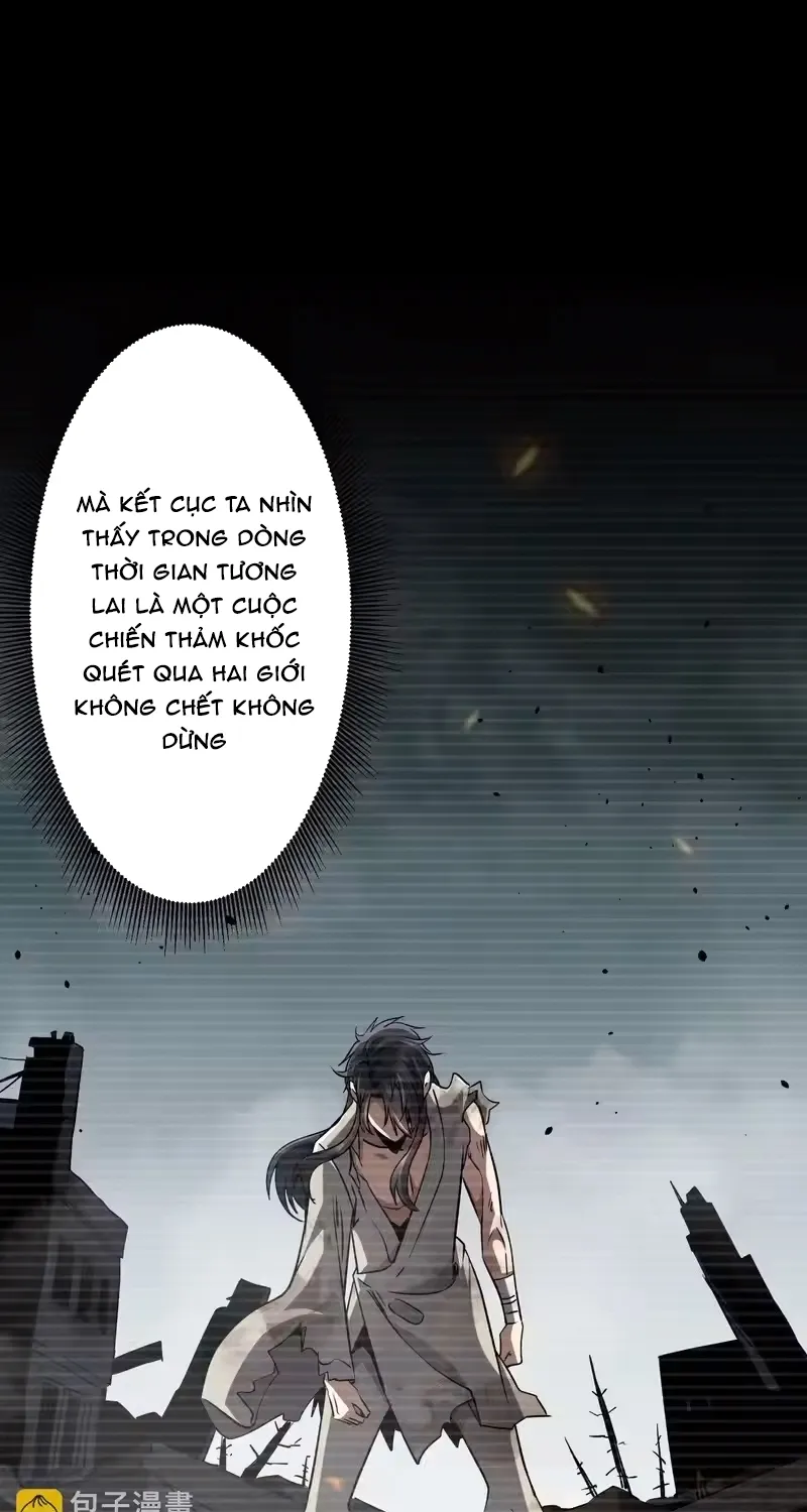 Chapter 295